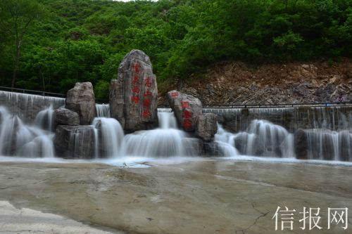 森系丛林